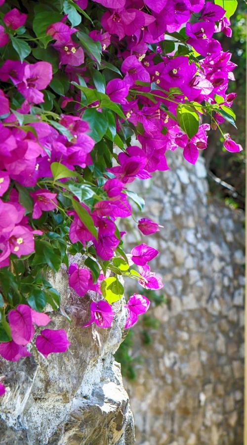 Positano Holidays Exterior foto