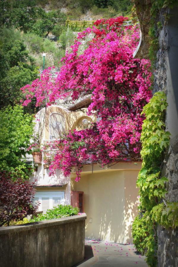 Venus Apartment Positano Exterior foto